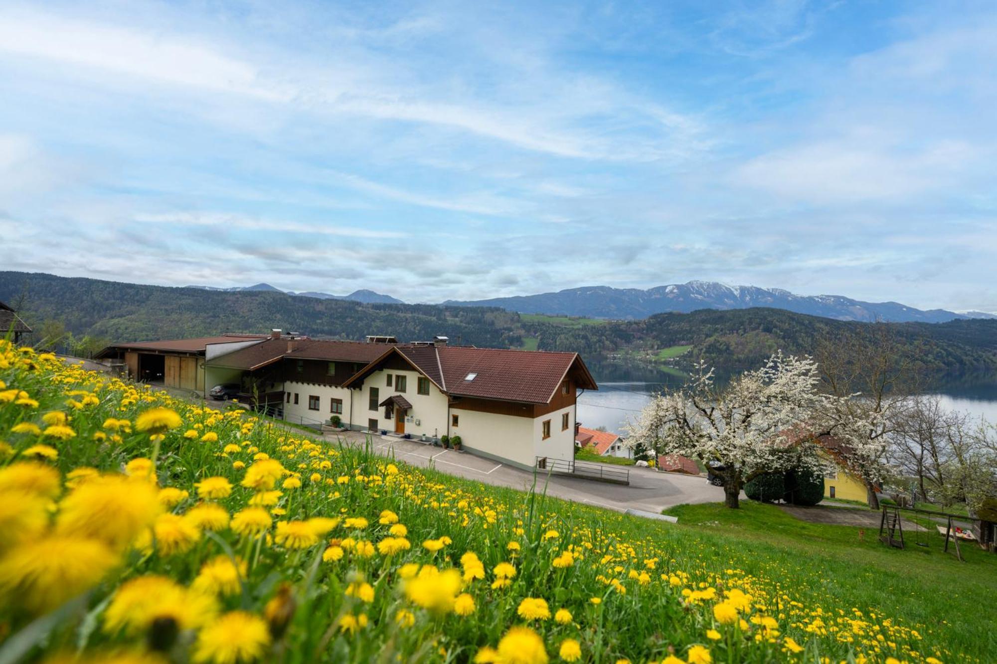 Fruehstueckspension Goetzfried-Hof Millstatt Eksteriør billede